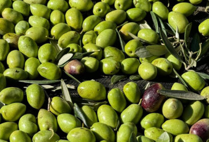 La calidad gourmet del aceite de oliva; claves que explican su precio en el mercado gastronómico