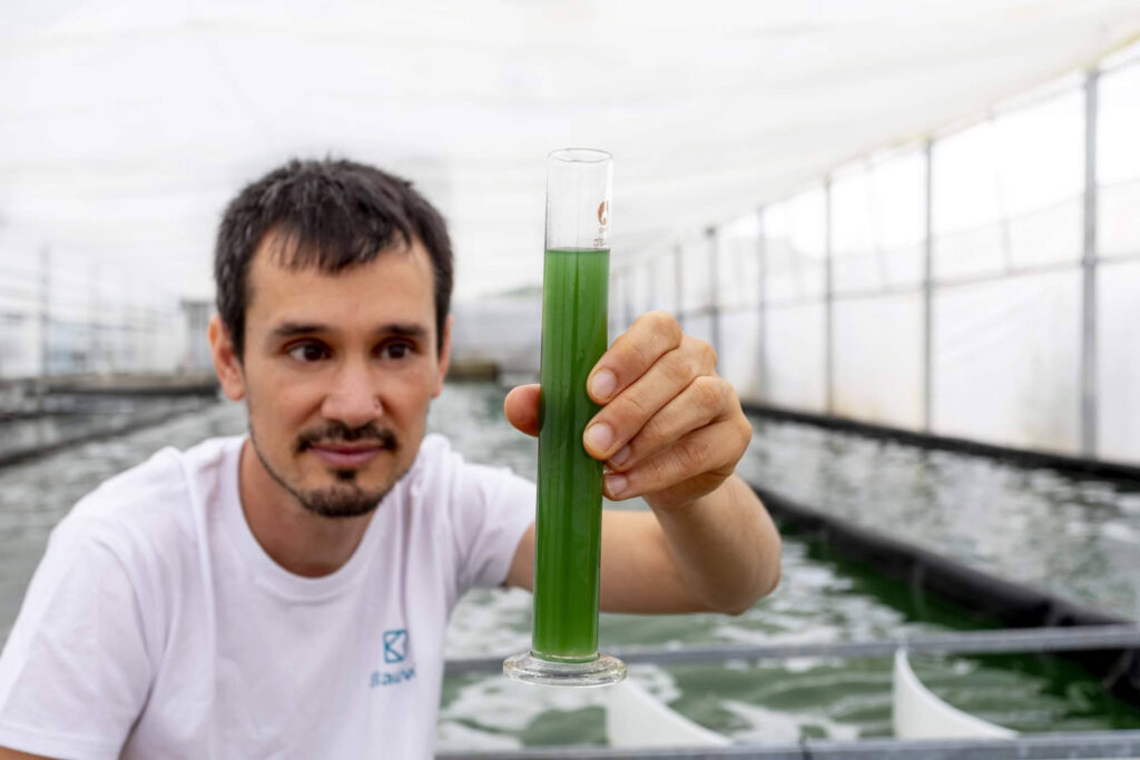 Recetas fáciles con espirulina fresca; el superalimento cultivado en Catalunya que gana adeptos