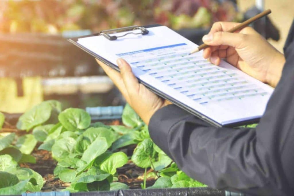 QualitApp, una plataforma tecnológica de Locatec para transformar el sector agroalimentario