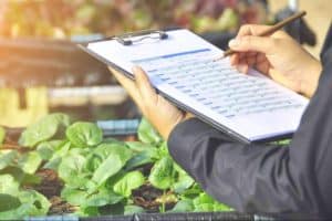 QualitApp, una plataforma tecnológica de Locatec para transformar el sector agroalimentario