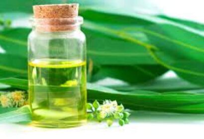 Esencia concentrada de eucaliptus, la nueva experiencia aromática para saunas y baños turcos