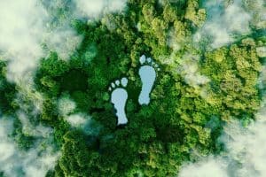 Consultoría estratégica para reducir la huella de carbono en las empresas, con Ingade