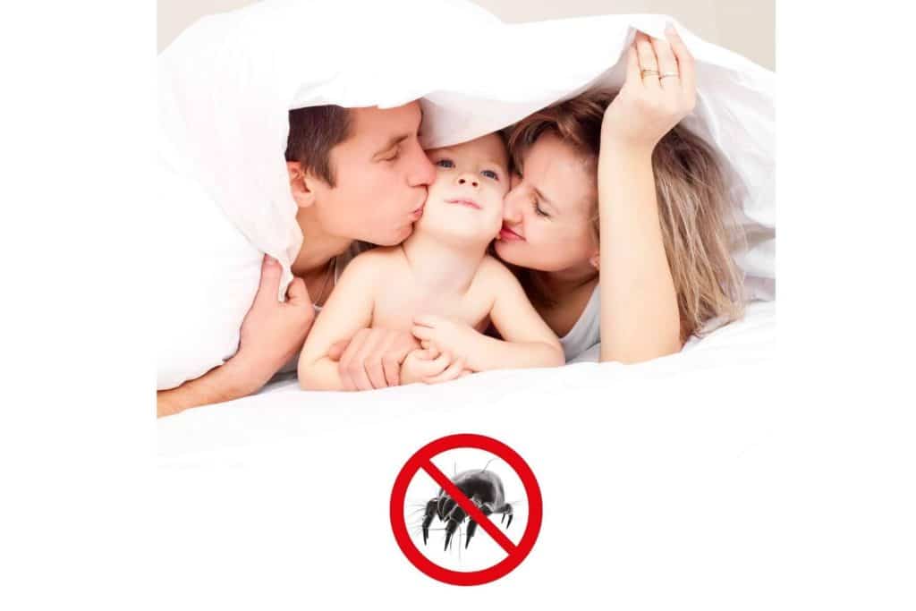 ¿Cómo eliminar los ácaros de la mano de Euroallergy.com?