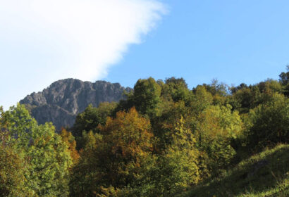 Que las empresas turísticas se comprometan con la Naturaleza tendrá su recompensa