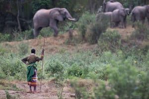3 zonas en Kenia que están fuera del circuito de masas y se deben visitar, por The African Experiences
