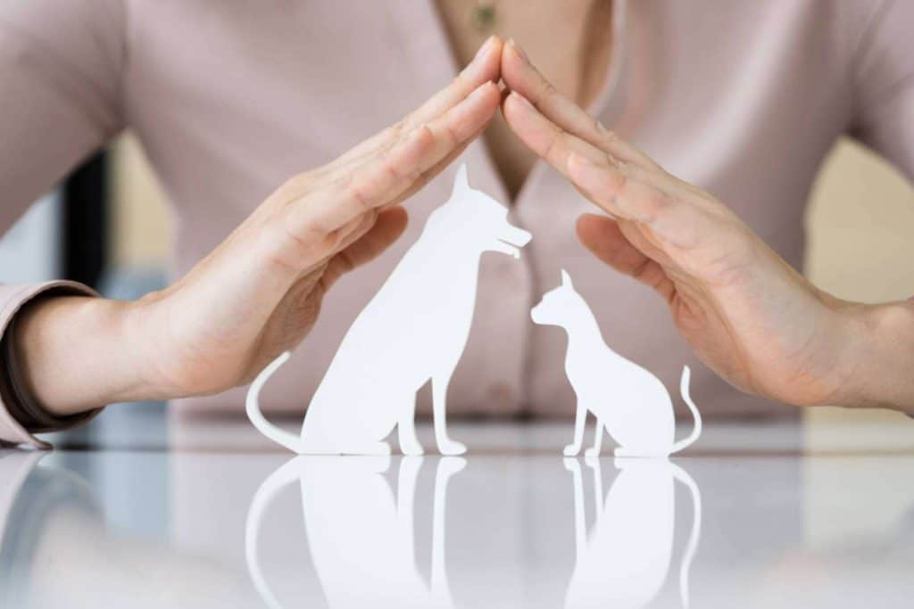 La firma Ucoga ofrece seguros personalizados para mascotas
