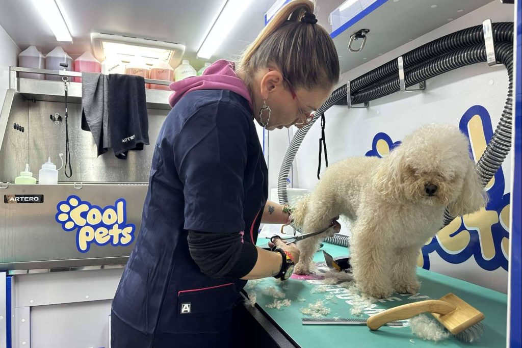 COOL PETS; La solución definitiva para el aseo e higiene de la mascota