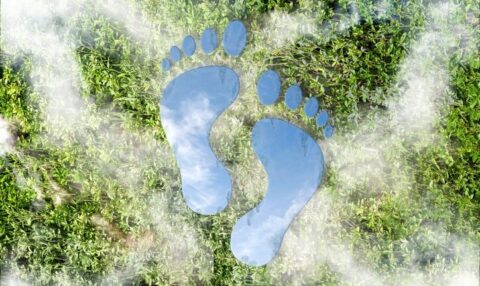 Reducción del impacto ambiental y de la huella de carbono