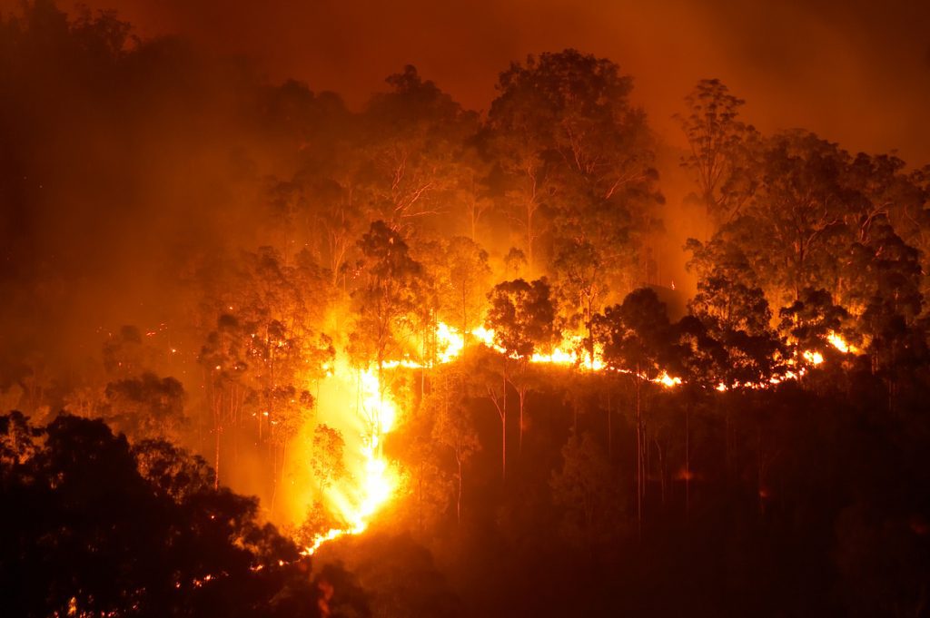 Este invento español podría ser la solución a los incendios forestales