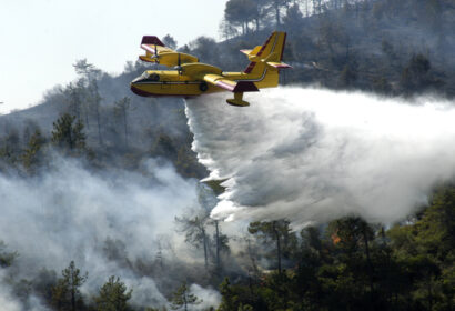 Ayudas ante los incendios forestales