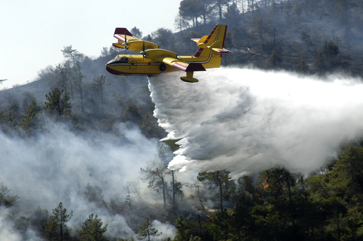 Ayudas ante los incendios forestales