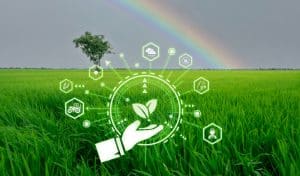 Descubre las 50 startups finalistas de la Startup Competition de South Summit Brazil 2024