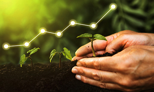 Crece la inversión en el ecosistema startups español