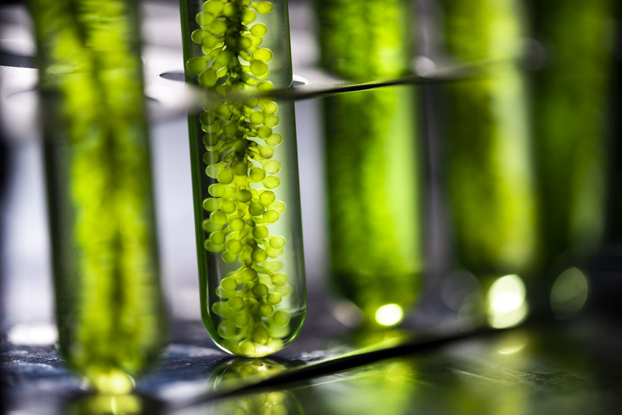 Biotecnología, apuesta segura contra el Covid-19
