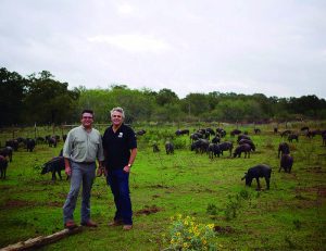 ¿Jamón ibérico de bellota texano? Un milagro que ha hecho posible la española Acornseekers