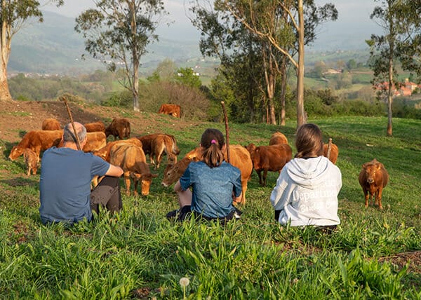 Agricultura Regenerativa o cómo trabajar con la naturaleza, en lugar de contra ella
