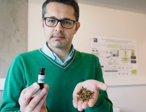Esta startup gallega convierte los restos de albariño en cosmética para mascotas