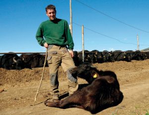 La Búfala del Empordá