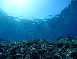 La estrategia de oceános azules