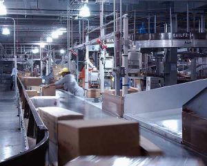 Las agencias de desarrollo crearon 50.000 empresas en 2007