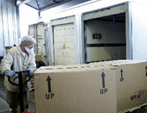 Logística del frío para  el comercio electrónico
