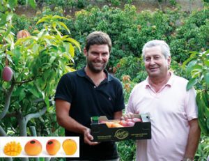 Mangos en tu mesa