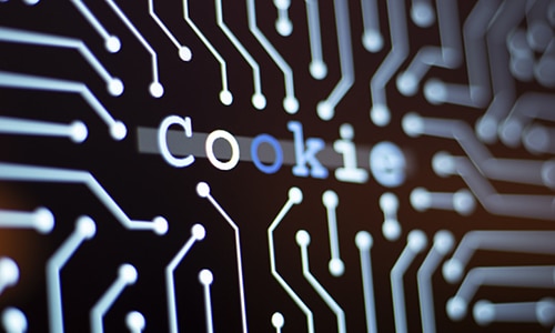 Aceptar las cookies o pagar: la nueva tendencia de los sitios web