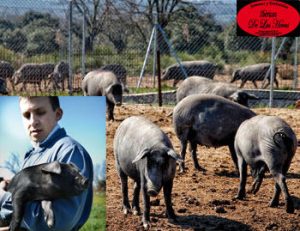 Matanza a la carta y online