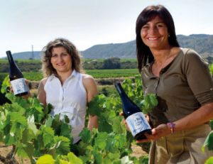 Mateo’s Vineyard: No seas del montón