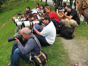 Medidas para autónomos