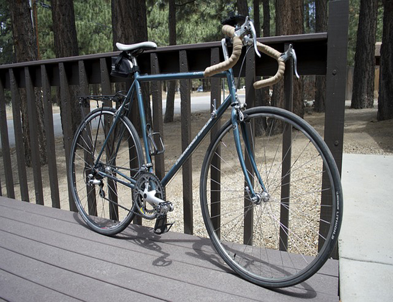 Bicity