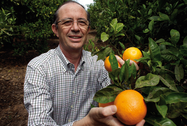 Vitaminas por Internet