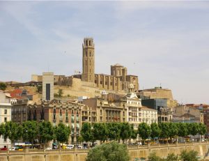 Necesito un trastero inaugura local en Lleida