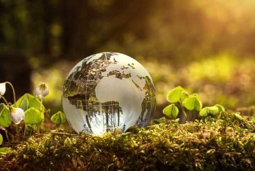 8 buenos ejemplos para emprender en ‘verde’ en la España rural