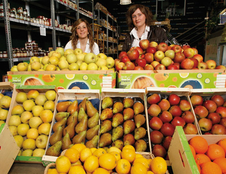 Nichos de mercado
