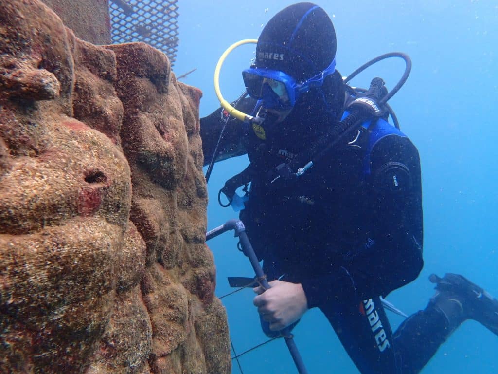 Ocean Ecostructures, una de las startups que miran al agua