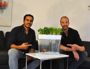 Peces, tomates y otras hierbas
