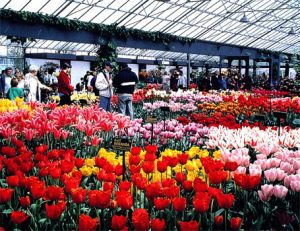Garden center