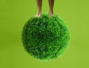 Productores y distribuidores ecológicos