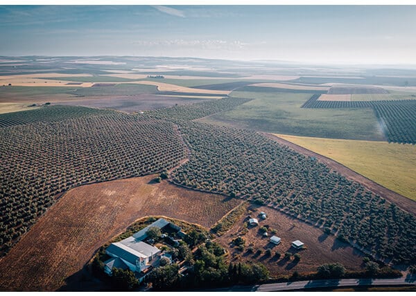 Agricultura Regenerativa o cómo trabajar con la naturaleza, en lugar de contra ella