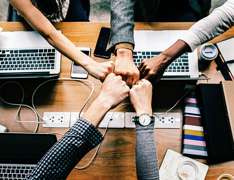¡Que no te acompleje su tamaño!: 8 estrategias de las pequeñas empresas para conseguir grandes contratos