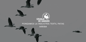 ¿Quieres entrar en el programa de innovación en la industria textil impulsado por El Ganso y Factoría Cultural?