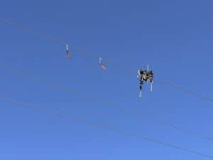 Robot instalando salvapájaros en línea de alta tensión. GRVC