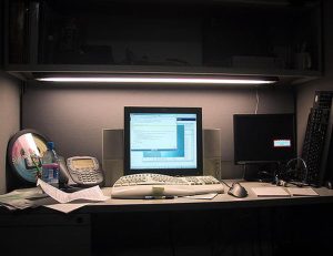 ¿Sabes cuáles son los días más productivos de tus empleados?