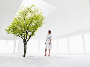 Para principiantes: Cómo captar nuevos clientes