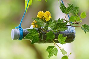 Si te interesa la innovación social y ambiental, echa un vistazo a estos proyectos