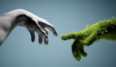 Sostenibilidad y criterios ASG / ESG