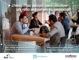 Speed Mentoring