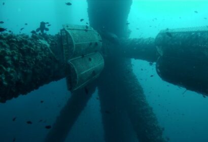 Ocean Ecostructures, startup enfocada en la regeneración del ecosistema marino