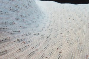 El invento emprendedor que permite hacer camisas con micropaneles solares integrados